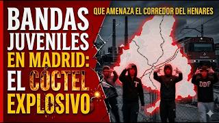 Bandas juveniles en Madrid: el cóctel explosivo que amenaza el Corredor del Henares