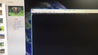 Testing Elephant AI using HOG + SVM (1.0)