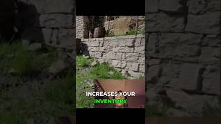 The Inventory Secret Crimson Desert Players Miss #shorts #gaming #tips