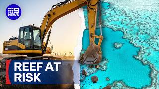 Great Barrier Reef at breaking point amid rising deforestation | 9 News Australia