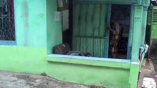 Orang gila vs nenek-nenek,simak videonya
