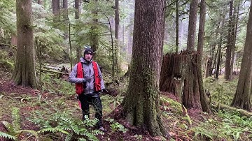 Measuring Tree Height on a Slope