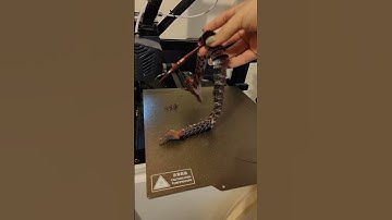 Failed print finished. 3D printer ANYCUBIC VYPER.