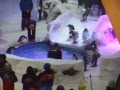 Show penguins - Пингвин-шоу (Шоу пингвинов) - Mall of Emirates - Молл эмиратов - Dubai - Дубай