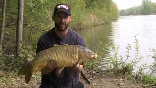 Morning carp fishing