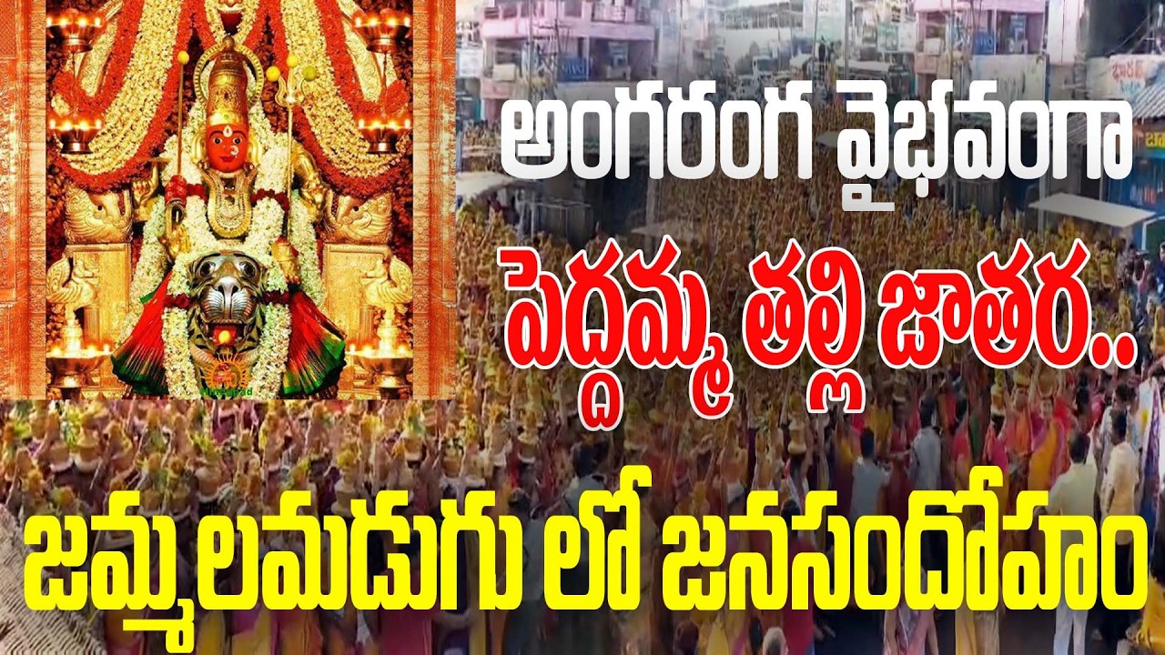 అంగరంగ వైభవంగా పెద్దమ్మ తల్లి జాతర.‌. జమ్మలమడుగు లో జనసందోహం #ktvnews #jammalamadugu 