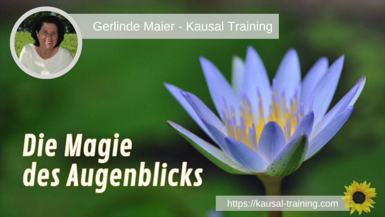 Kausaler Impuls - Die Magie des Augenblicks