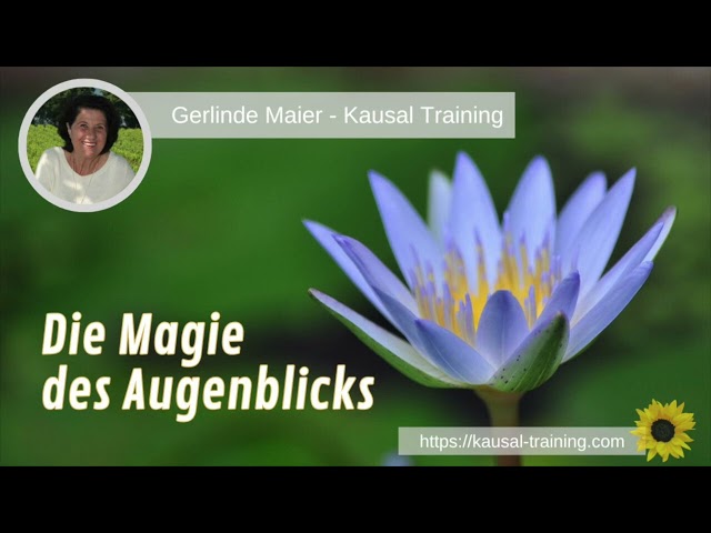 Kausaler Impuls - Die Magie des Augenblicks