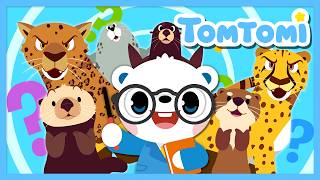 🐆¡Animales parecidos, pero diferentes!🦦| Compilación de Canciones Infantiles | TOMTOMI en Español