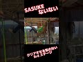 【SASUKEないない】クリア不可能な3rdステージ‼️