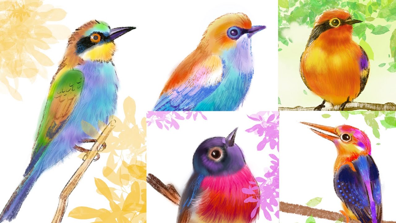 iPad art 14 cute birds drawing YouTube