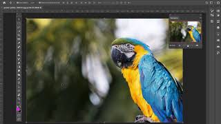 GD1/Photoshop: Exercise 1/Color Emphasis