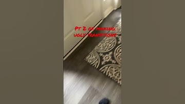 Pt 2 making ugly transitions