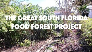 Back in 2011 i started planting fruit trees with my parents their
small south florida backyard. now many of the are producing and yar...