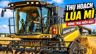 Farming Simulator | Mô Phỏng Trồng Lúa Mì & Thu Hoạch Nông Trại | Gameplay screenshot 5