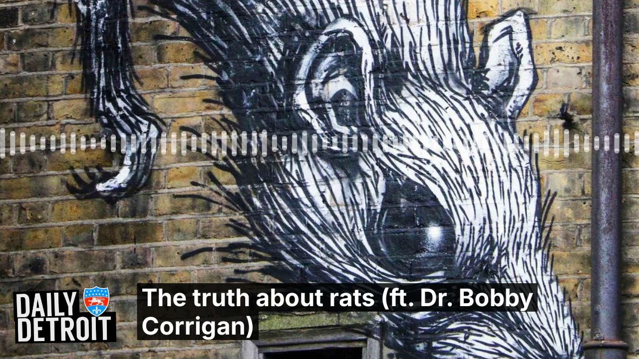 The truth about rats (ft. Dr. Bobby Corrigan)