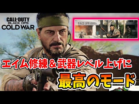 【FPS】武器レベルを上げたい！『COD:BOCW』#86