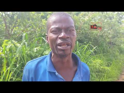 Ku Lundazi Nako Appeal To MP Brenda Nyirenda 