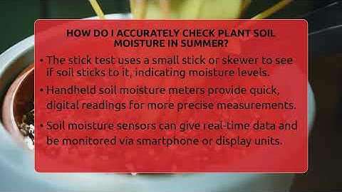 How Do I Accurately Check Plant Soil Moisture In Summer? - The Plant Enthusiast
