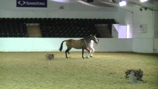 Bathleyhills Sea Breeze - BEF Futurity 2011 Awarded Higher 1st