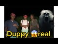 Duppy lick empire in the bush  last night boy boy save us 