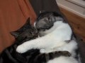 抱き合う男の子達