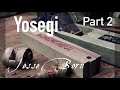 How to make Yosegi Part 2 with Jesse Born