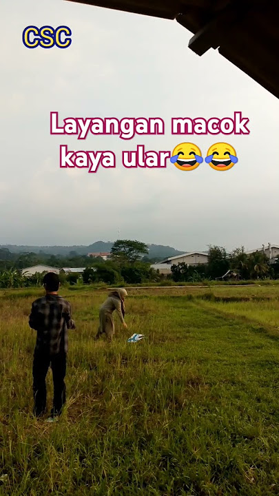 layangan macij😂 #komedisunda #katakatalucubahasasunda #ngakak #komedikuncir #sinetronkomedi #comedy