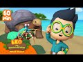 1 HOUR OF ANIMALS WITH SHELLS TO PROTECT THEM!! 🐢🦐 | Leo the Wildlife Ranger | #compilation