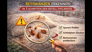 Der unsichtbare Feind im Bett: Entlarve Bettwanzen in 3 simplen Schritten (bevor es zu spät ist!)