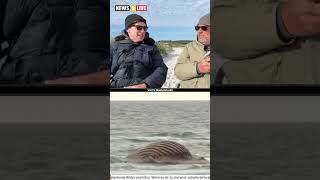 Tobi, Matze: Der neueste Stand vom Strand