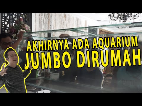 SEKIAN LAMA MENUNGGU KEDATANGAN AQUARIUM JUMBO DIRUMAH