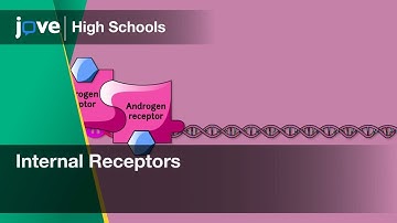 Internal Receptors | Bio | Video Textbooks - Preview