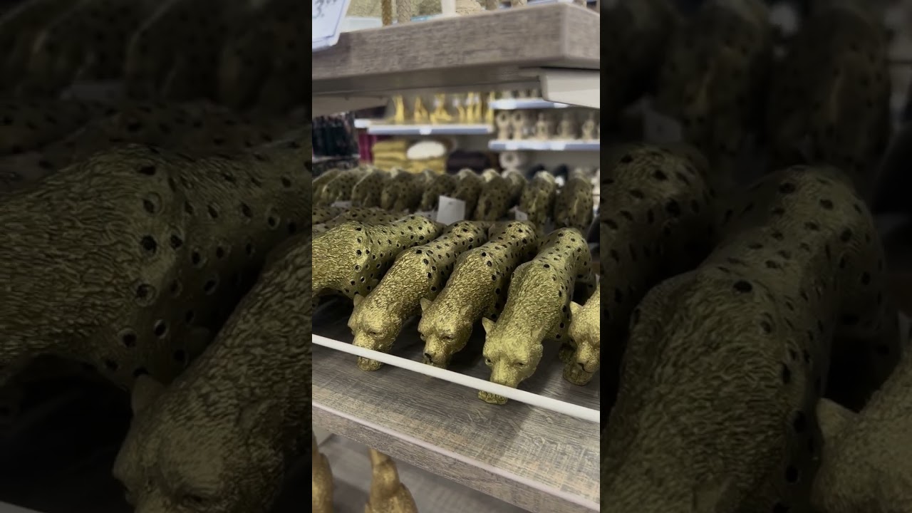 17 février 2026 النشاءالله رمضانكم مبروك ❤️☺️