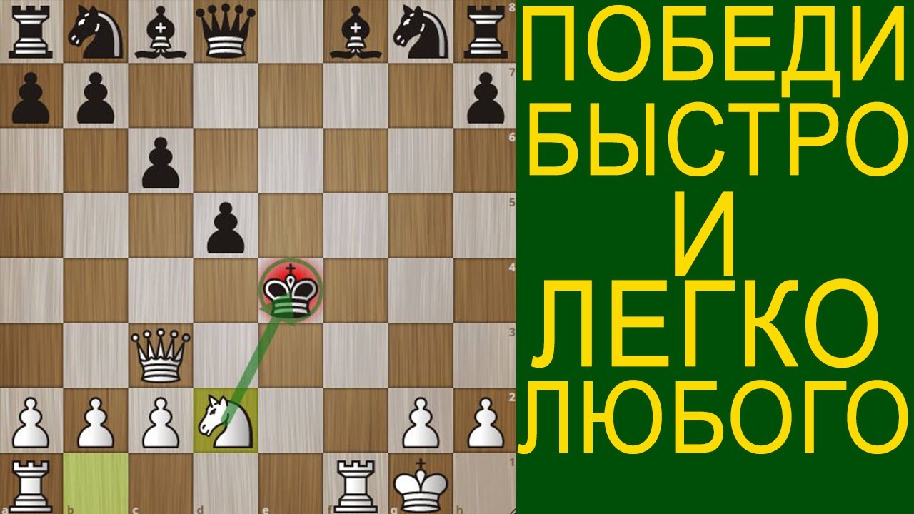 СДЕЛАЙ ЭТО И ПОБЕДИ 95% ИГРОКОВ В ШАХМАТАХ. Шахматы Ловушки. Шахматы ...