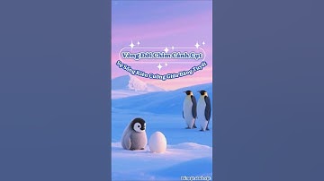 Hành Trình Kỳ Diệu:Vòng Đời Chim Cánh Cụt Hoàng Đế. #chimcánhcụt #vòngđờichimcánhcụt #penguin #viral