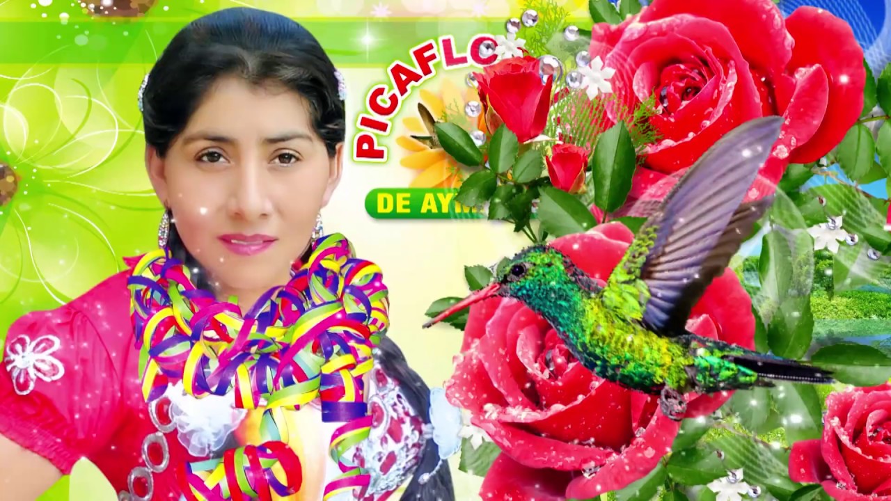 ♬♫💞 PICAFLORCITA DE AYMARAES💞 -⏩TEMA: TODA LA VIDA ⏪ - PRIMICIA 2019 ♪♫♬VÍDEO CARNAVAL