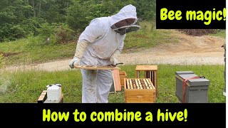 How to combine a bee hive!! 🐝