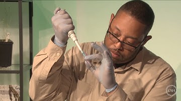 DNA Barcoding Techniques Refresher (Recorded Webinar)