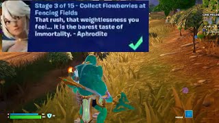 Collect Flowberries at Fencing Fields Fortnite
