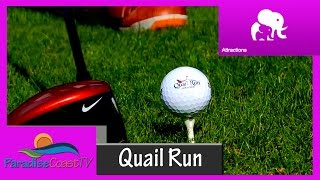 Quail Run