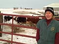 Berning Acres A Modern American Dairy Farm