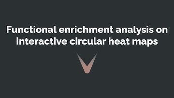 Performing functional enrichment analysis on interactive circular heat maps