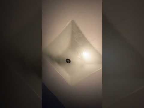 How To Tell If Bulb Is Burned Out