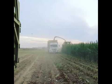 Video: Agronomist, dünyanın ilk biçerdöverinin mucidi