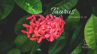 Back from the past, TAURUS Sept 16-30