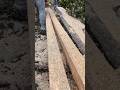 Del estado de la luna depende la calidad de la madera 💪🔥 #chainsaw #sthil #madera #asmr #woodworking