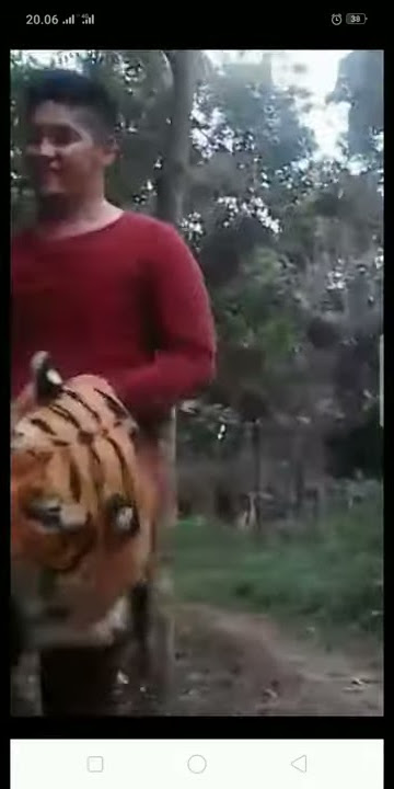 SAMUEL ZYLGWYN LAGI ISENG DI LOKASI 7 MANUSIA HARIMAU