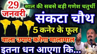 29 जनवरी सोमवार संकटा चौथ को 5 कनेर के फूल वाला उपाय सपना पूरा कर देगा  2 दिन पहले ही बता दिया//