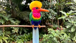 25 Most Incredible Birds on Earth